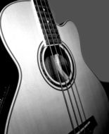 soundboard of bass guitar, black and white