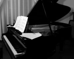 black grand piano with notes