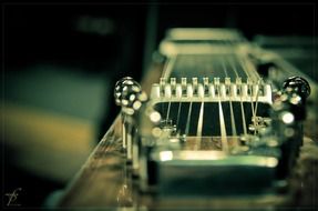 Guitar with the twenty strings