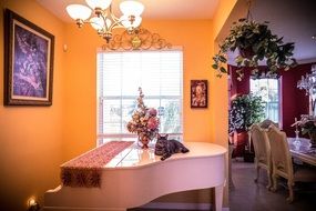 cat lays on white piano in luxury room