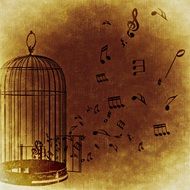 music freedomin the illustration