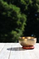 singing bowl shell