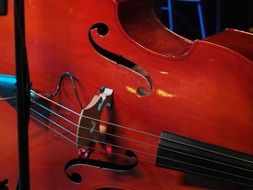 Wooden bass guitar musical instrument
