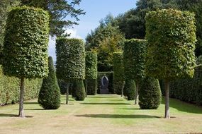 topiary garden