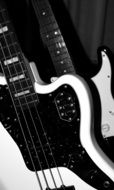 Black and white electric bass guitar