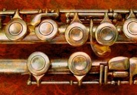golden buttons on flute close up