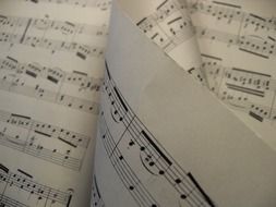 lot of papers with musical notes