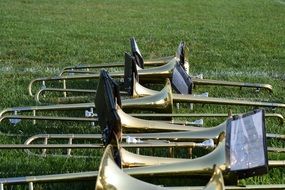 trombones on grass