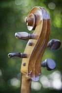 Photo of wooden stringed instrument ,cello