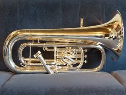 euphonium on the couch