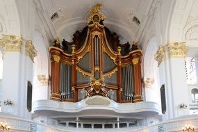 organ hamburger