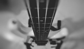 neck of bass guitar