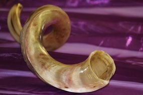 horn africa musical instrument