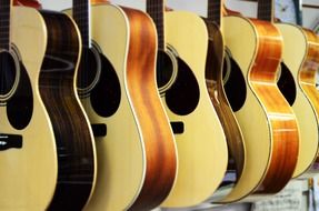new wood guitar