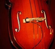 music string instrument cello