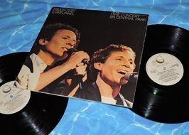 vinyl records Simon and Garfunkel