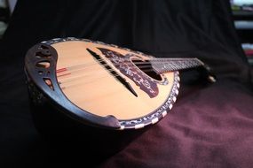 mandolin instrument