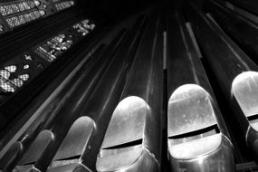 monochrome picture of Liturgical organ in the church