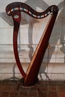 Harp is a plucked musical instrument