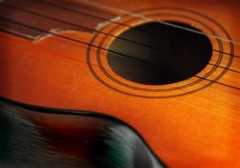 venezuelan guitar