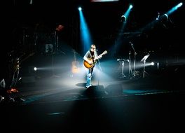 musical star at a concert
