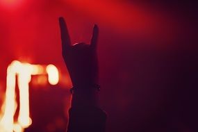 hand sign rock n roll at the concert