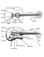 guitar violins drawing