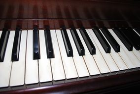 musical keyboard