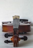 violin classical instrument