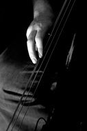 strings black and white foto