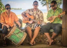 musicians play instruments sitting on a log