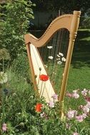 Harp musical instrument is in the garden