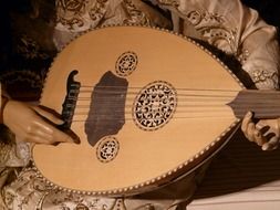 mandolin in the hands of a musician