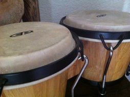 two bongos