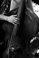 femal hand on strings of double bass instrument