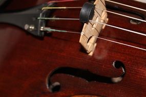 viola as a stringed musical instrument