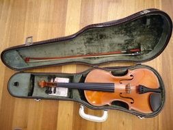 music instrument viola