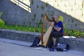 musician playing harp on street