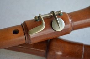 woodwind flute