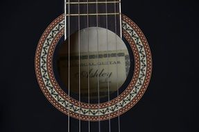 musical guitar with marquetry