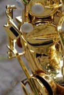 Photo of the golden saxophone