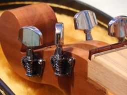 strings of a musical instrument close up