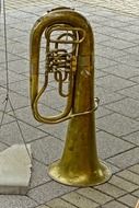 Golden trumpet on the ground