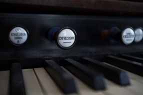 organ keys