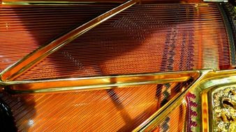 piano strings in a sun light