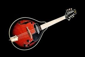 Mandolin on a black background