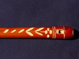 flute is a musical instrument