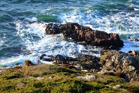 steep cliffs rising from the sea in Kullaberg