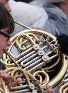 horn french instrument