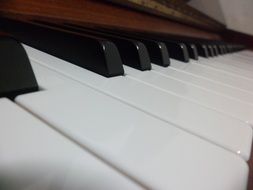 monochrome ivory piano keyboard